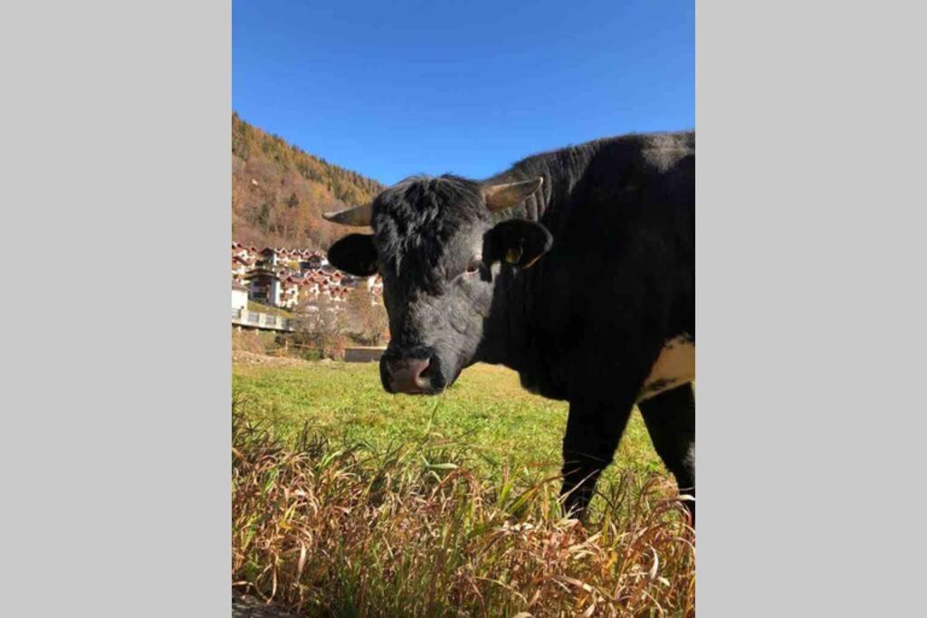 Tabla - Confort Ed Eleganza A 100 Mt Dagli Impianti Aprica Exterior foto